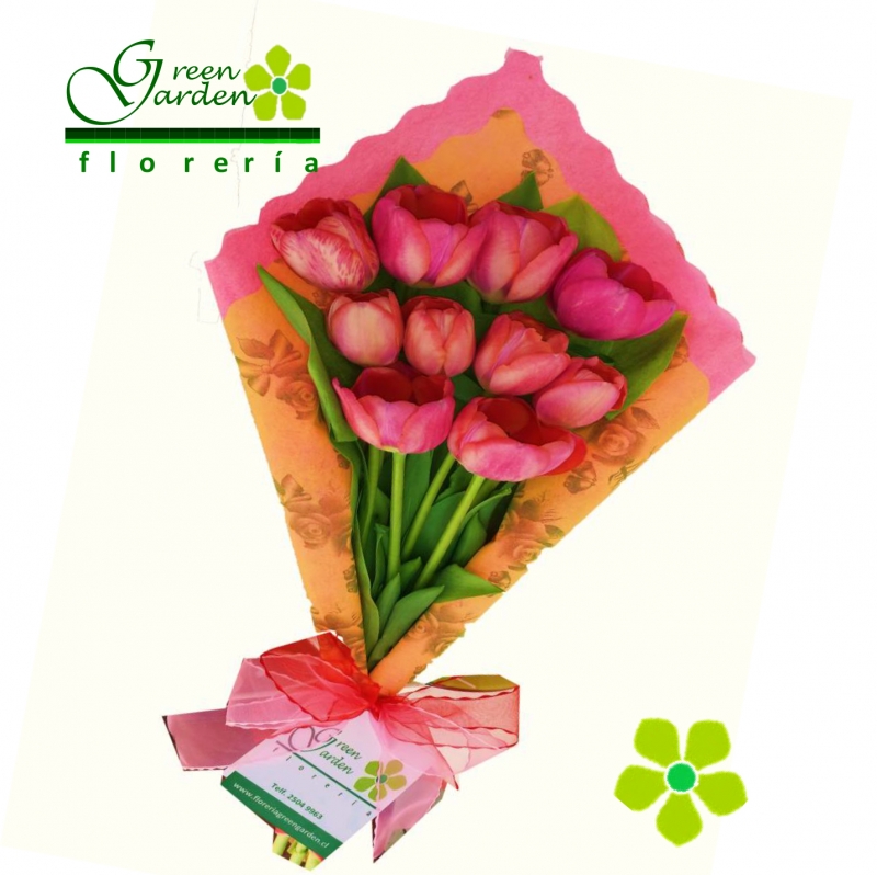 Ramo elegante de 10 tulipanes con color a elección